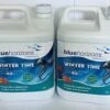 Blue Horizons Ultimate Winter Time Winteriser Long Life Algaecide 2 X 5Litres -Above Ground Pools Sales WINTERTIME X 2